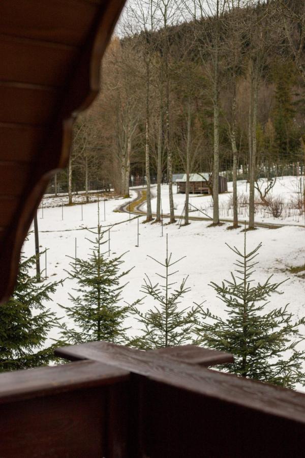 Golden Apartments Zakopane- One Bedroom Apartment - Mountain View&B14 Luaran gambar